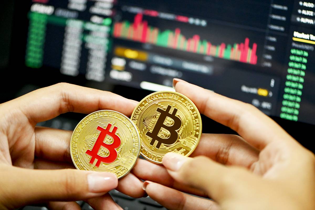 bitcoin information for beginners visual guide to hardware wallet security
