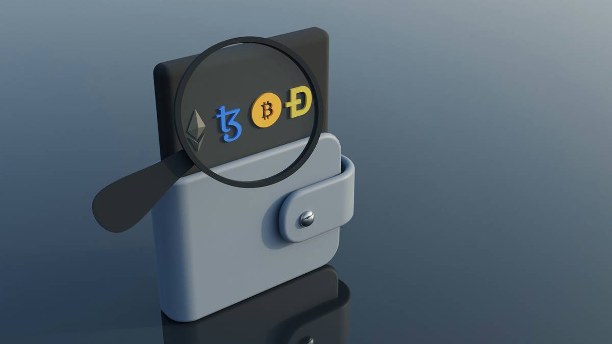 Step-by-step bitcoin wallet search flowchart showing device audit and seed phrase recovery